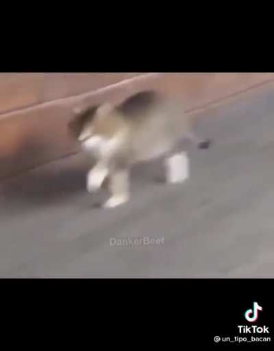 Ye