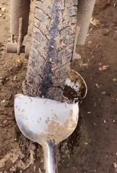 Dirt bike is dirt bike