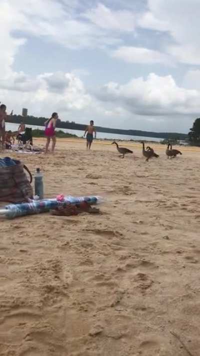 I think I&rsquo;m about to witness a massacre