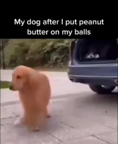 Balls