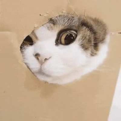 Взгляд