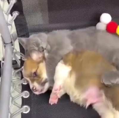 When you&rsquo;re wide awake but don&rsquo;t want to interrupt snuggle time
