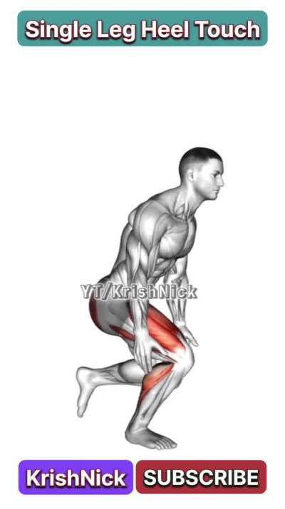 Single Leg Heel Touch Squats for Stronger Legs &amp;amp; Balance
