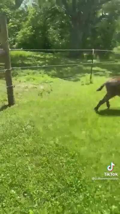 &ldquo;Don&rsquo;t tell mom!&rdquo;