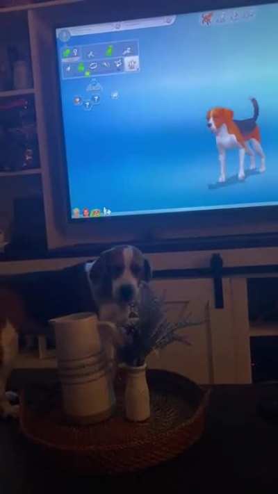My dog while making her Sim