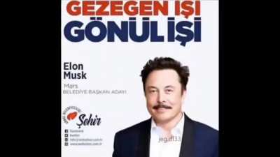 Cursed_Turkey