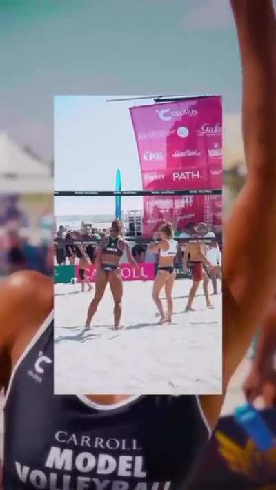 Volleyball Artist 