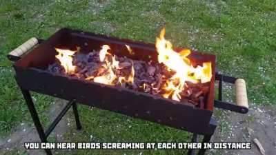Don't play with alcohol and fire, kids