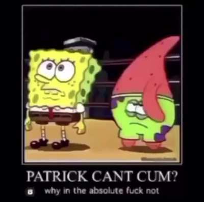 why in the absolute fuck not