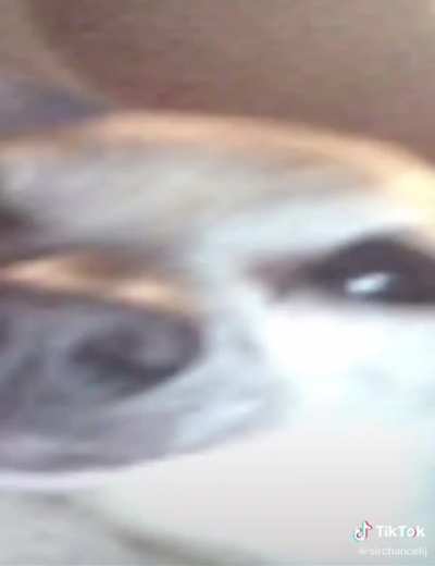 Esto es un Internet?