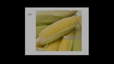 corn (ORIGINAL)
