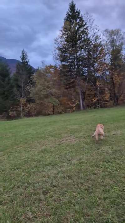 I am speed 🚀