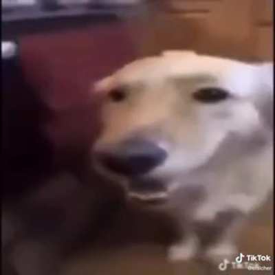 🅂🄸