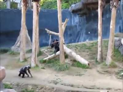 Monke War