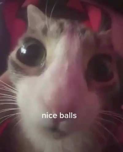 Nice Balls