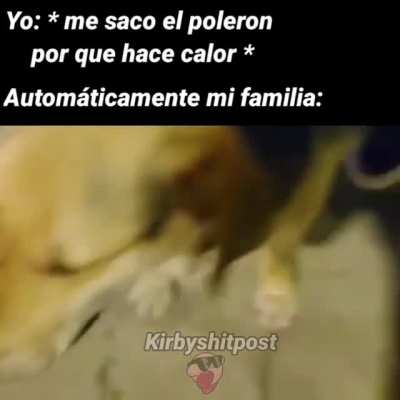 perro Waton