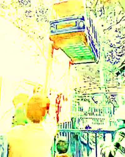 BUS