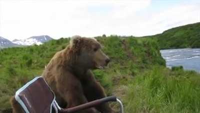 Look for the, Bear NOPEcessities...