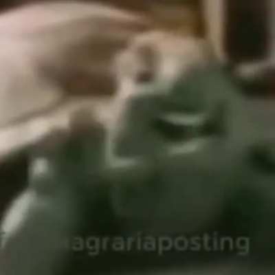 xd