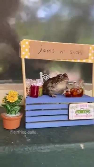 I want the frog