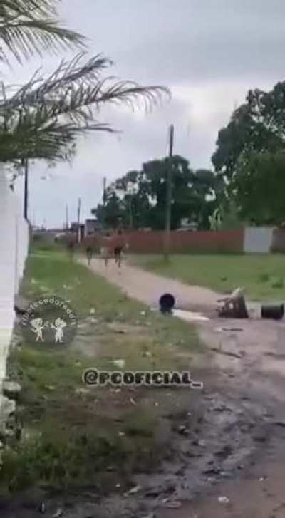 😂
