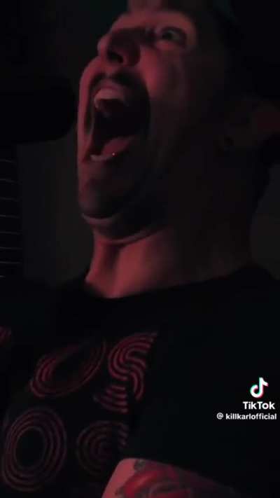 Tiktok "artists"