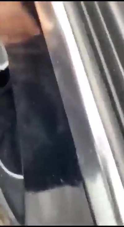 Fucked outdoor