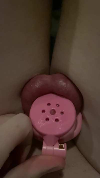 chastity masturbation