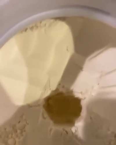 Protein powder