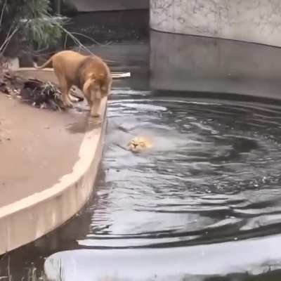 that's what happens when you don&rsquo;t look under your feet