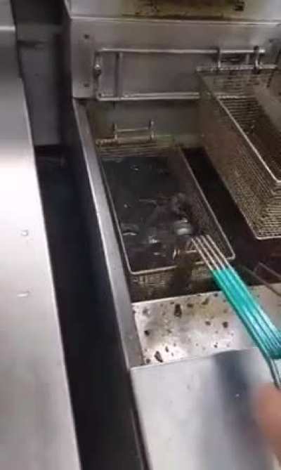 Fried ice