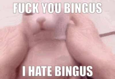 bingus stupid cat😡😡😡
