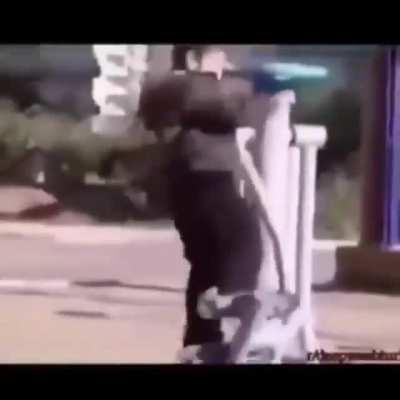 Xd