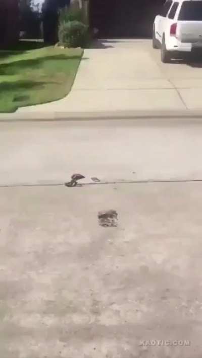 Bringing a bat to a fist fight