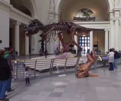Blursed_museum