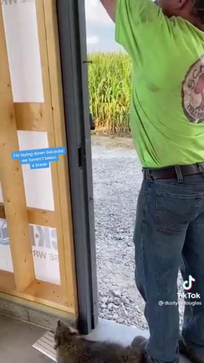 Ricky Raccoon: OSHA Inspector