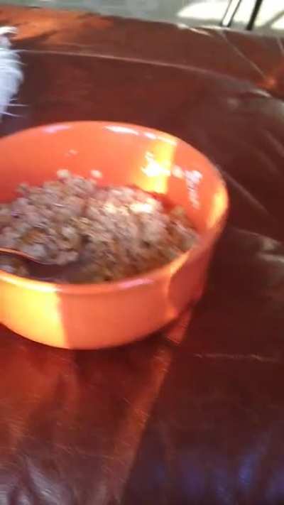 Never Touch Hot Oatmeal