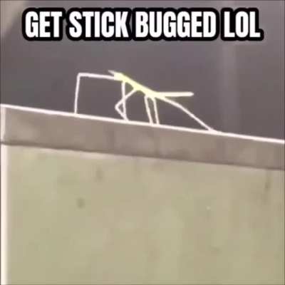 Stick