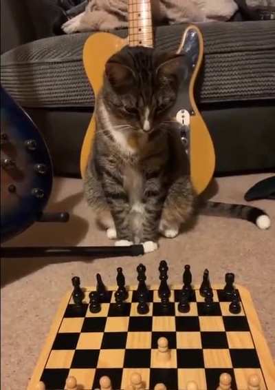 My opponent removed my pawn from board. What move is this?