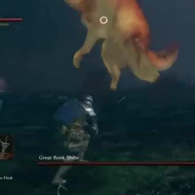 BONK lord