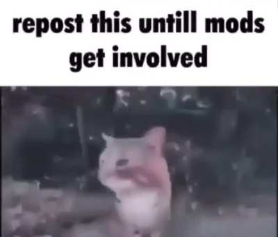 Whoah