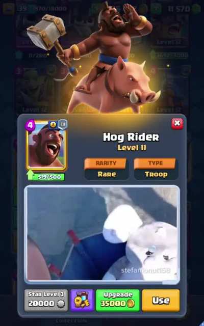 HOG RIDER!