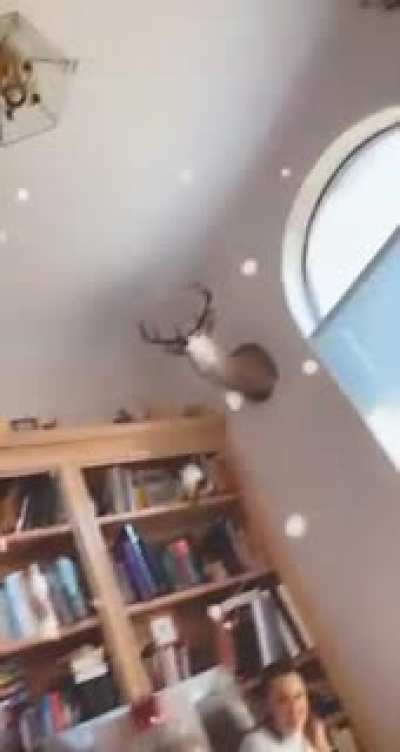 Oh Deer