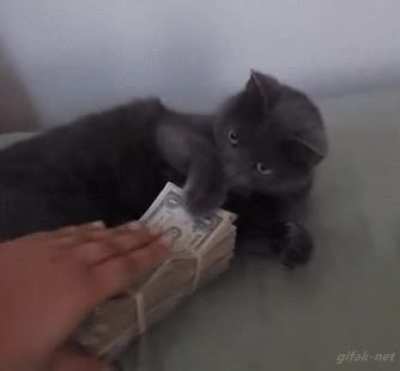 No toucha my mona