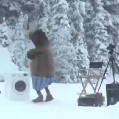 Danger in the wild
