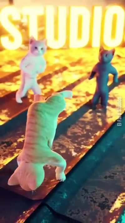 "I think I downloaded the wrong version of STRAY"