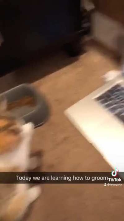 Winnie learns to clean herself