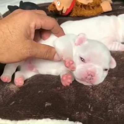 That&rsquo;s the spot right there
