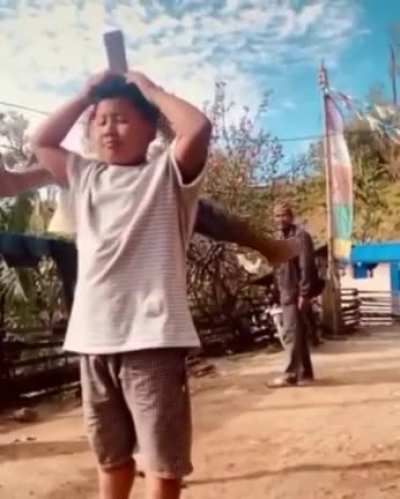 Roundhouse kick