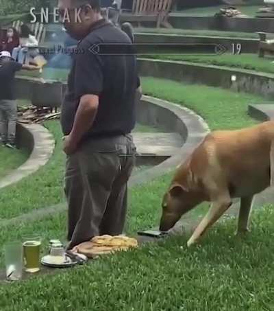 Sneak level 99